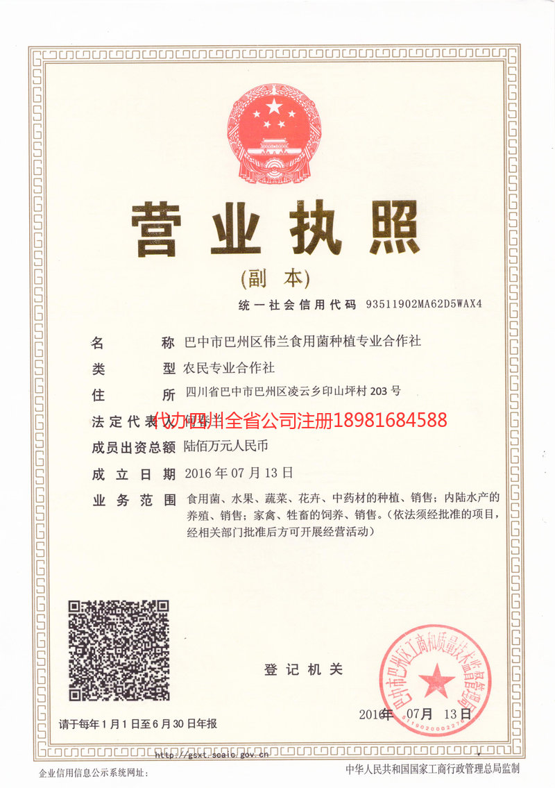 广东广东伟兰食用菌种植专业合作社