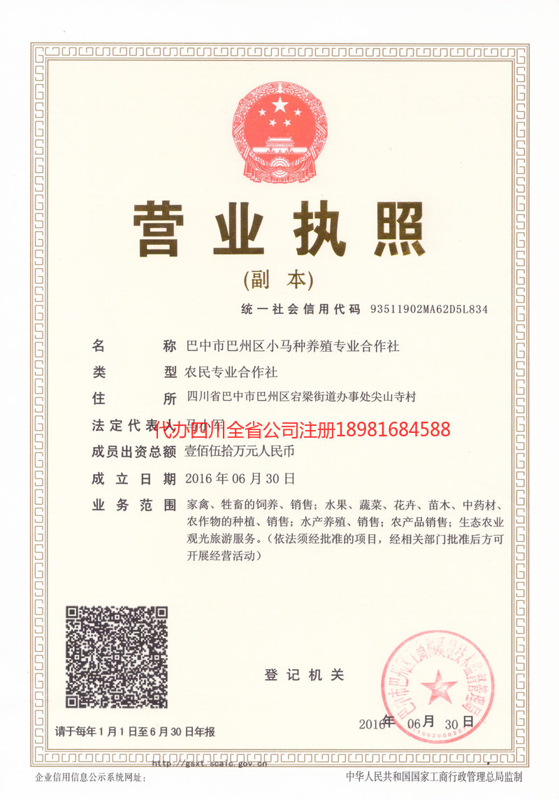 广东广东小马种养殖专业合作社